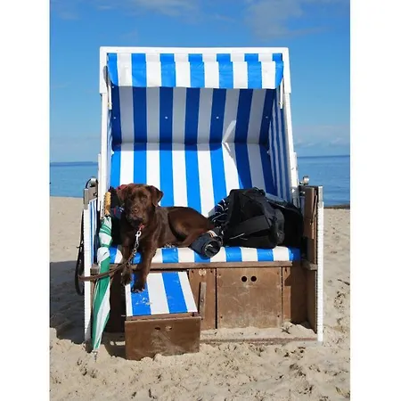 In The Hanseatic House