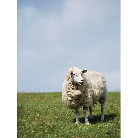 In The Hanseatic House Westerland