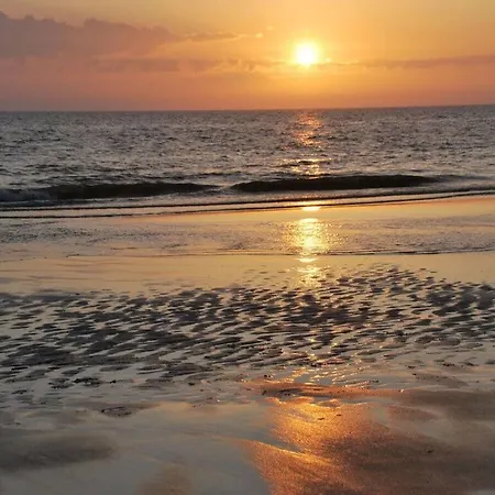 Apartment In The Hanseatic House