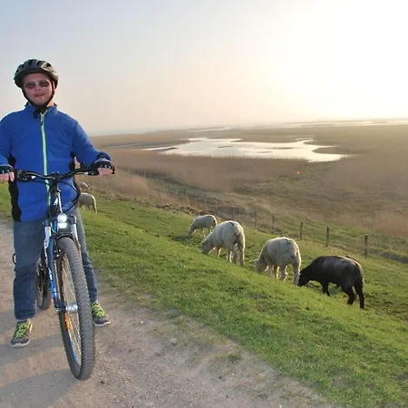 In The Hanseatic House *