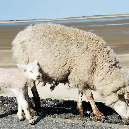 Apartment In The Hanseatic House