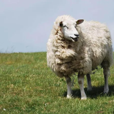 In The Hanseatic House