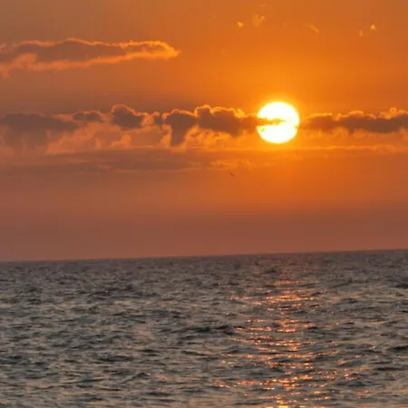 In The Hanseatic House *